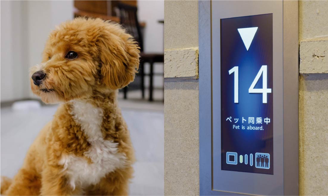 ペット対応マンション